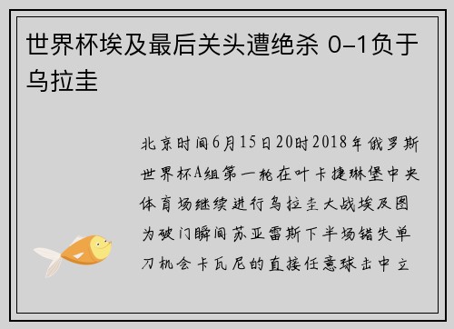 世界杯埃及最后关头遭绝杀 0-1负于乌拉圭