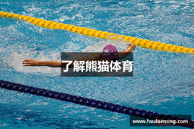 熊猫体育(中国区)官方网站 - 专注体育赛事直播